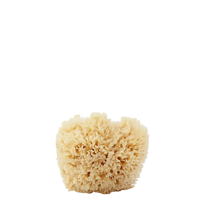 The Refill Shoppe Natural Sponge